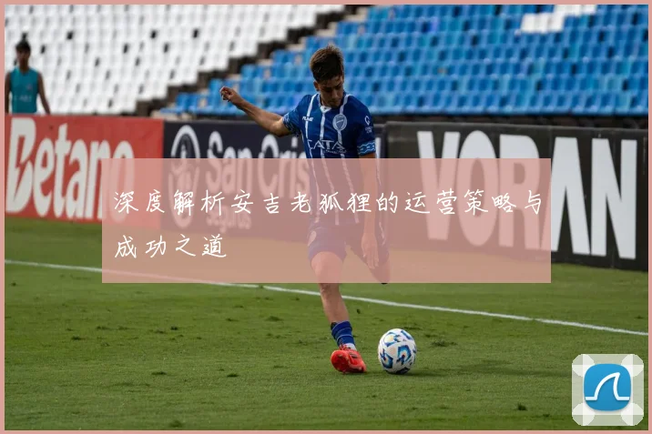 深度解析安吉老狐狸的运营策略与成功之道