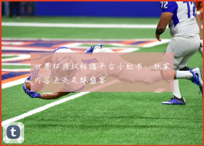 世界杯持权转播平台小红书，独家内容点亮足球盛宴
