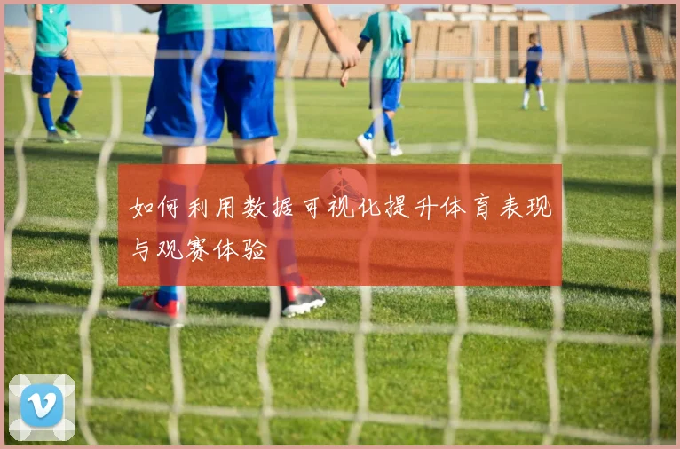 如何利用数据可视化提升体育表现与观赛体验