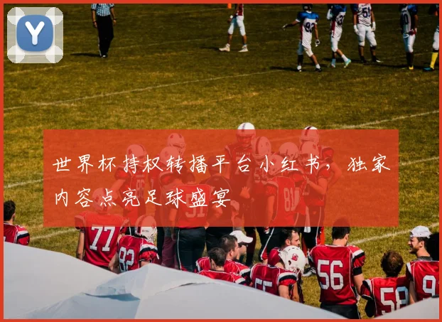 世界杯持权转播平台小红书，独家内容点亮足球盛宴