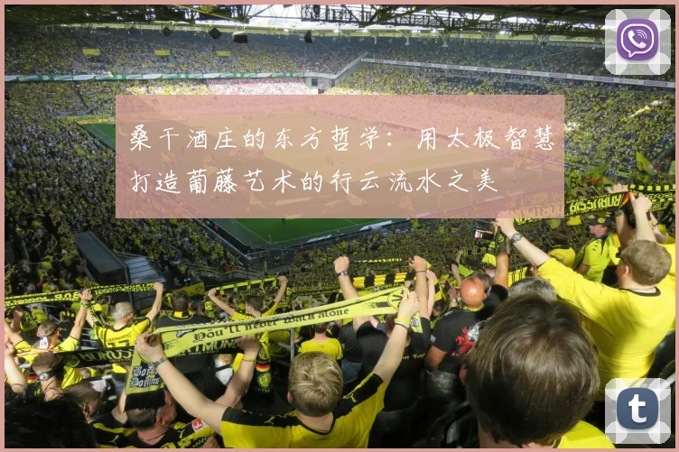 桑干酒庄的东方哲学:用太极智慧打造葡藤艺术的行云流水之美
