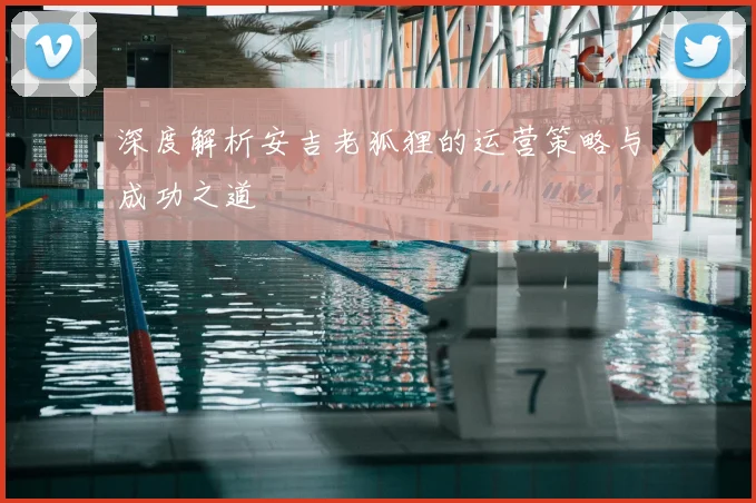 深度解析安吉老狐狸的运营策略与成功之道